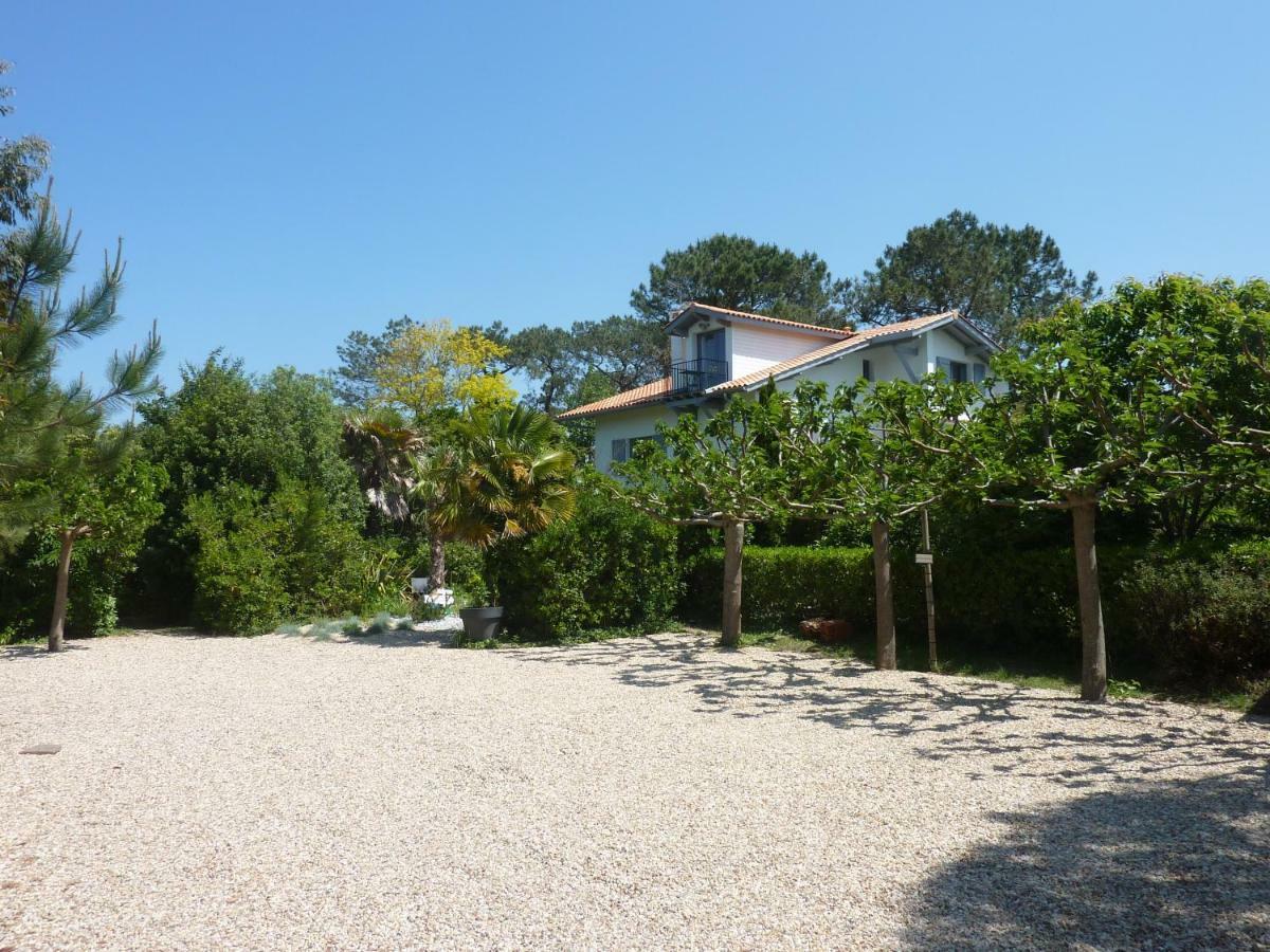 La Cabane D'Arbolateia Piscine & Spa Bidart Exterior foto